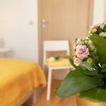 Apartment Nik - Cosy And Stylish